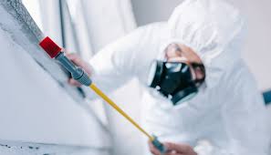 Real Estate Pest Inspections in Mccrory, AR